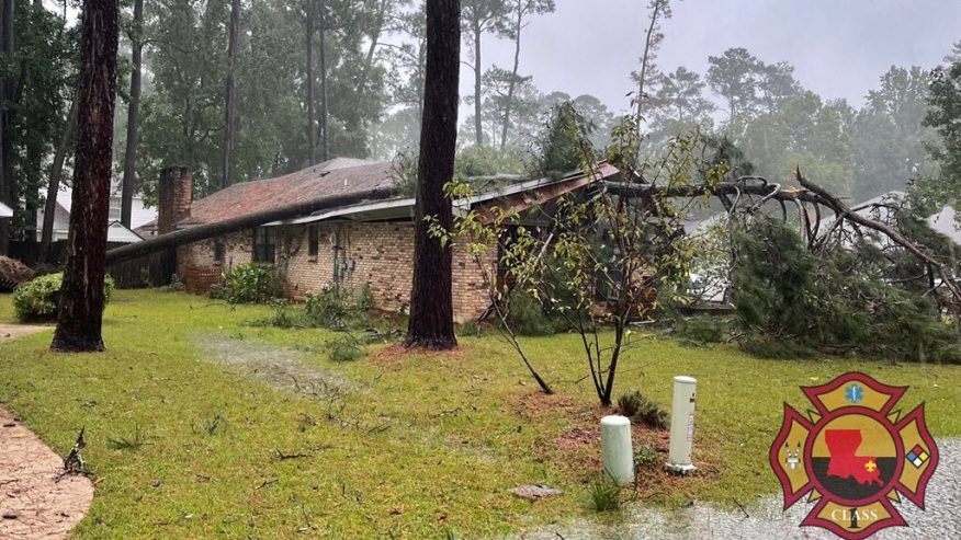 Mandevill;le House with a tree that fell on the roof.